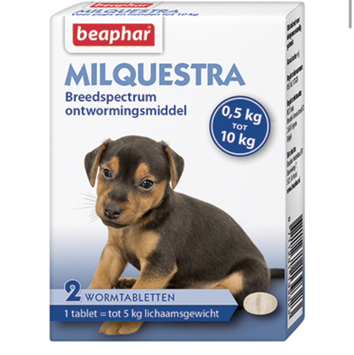 Milquestra